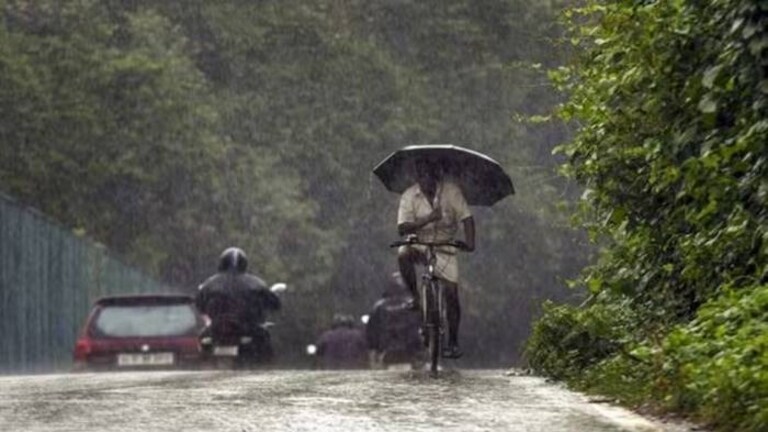 Maharashtra Weather: महाराष्ट्राला पाऊस पुन्हा झोडपणार! IMD चा 'या' जिल्ह्यांना रेड अलर्ट Mumbai Tak