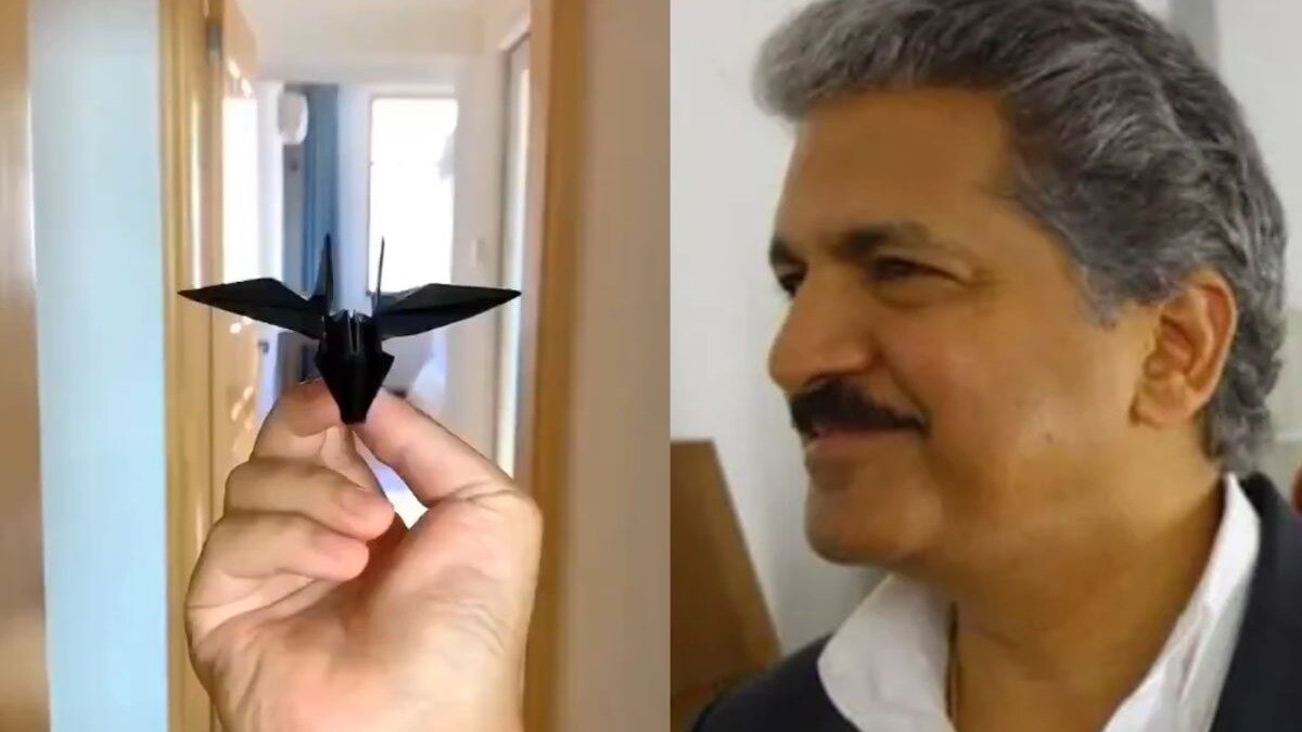 Anand Mahindra Viral Video