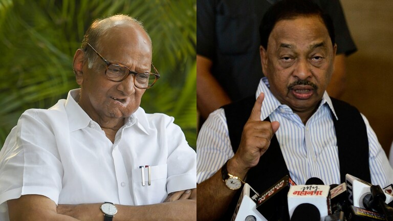 Narayan Rane: 'पेट्रोल टाकूनच ठेवायचं आणि काडी घेऊन फिरायचं...' राणेंची पवारांवर जहरी टीका Mumbai Tak