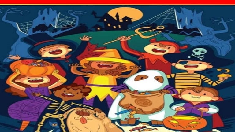 Optical Illusion : वाटतं तितकं सोपं नाही! हुशार असाल तर शोधून दाखवा फोटोत लपलेली मांजर Optical Illusion Viral Photo