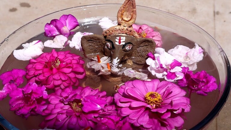Ganesh Chaturthi 2024: बाप्पाचं विसर्जन घरीच करायचा विचार? पण थोडं थांबा... Mumbai Tak