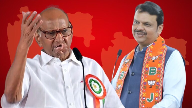 Sharad Pawar भाजपला आणखी मोठा धक्का देणार?, घाटगेंपाठोपाठ 'हा' नेता घेणार हातात तुतारी? Mumbai Tak