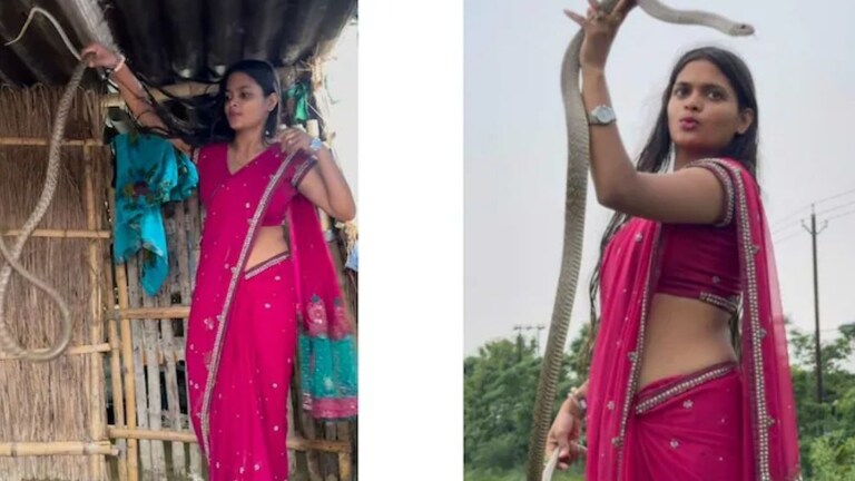 Viral Video: गुलाबी साडी अन् हाती साप, बाईई... काय प्रकार? Women Snake Rescue Video