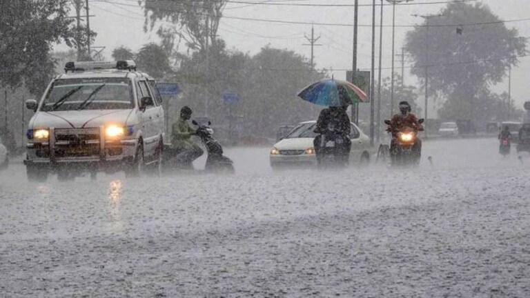 Maharashtra Weather: आज राज्यात मुसळधार! 'या' जिल्ह्यांना हायअलर्ट Mumbai Tak