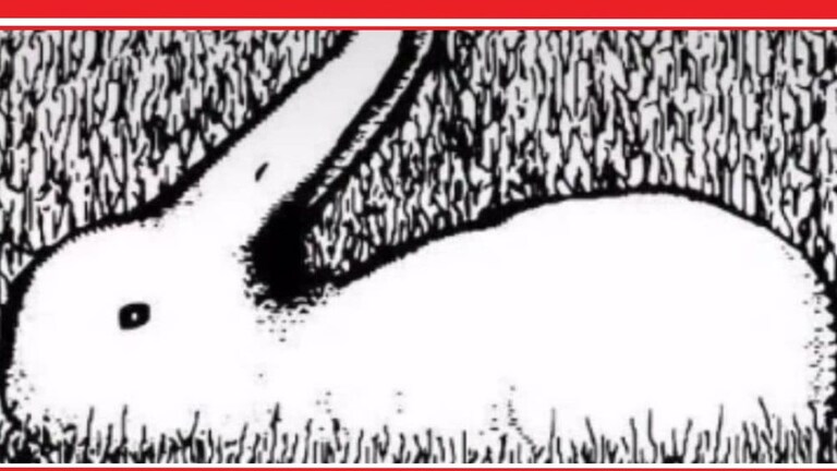 Rabbit Optical Illusion: फोटोत ससा दिसतोय? पण तो ससा नाही, एकदा क्लिक करून बघा Optical Illusion Viral Photo