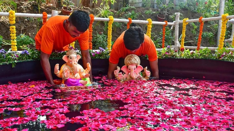 Ganesh Visarjan 2024: बाप्पाचं विसर्जन घरीच करताय? मग थोडं थांबा... Mumbai Tak