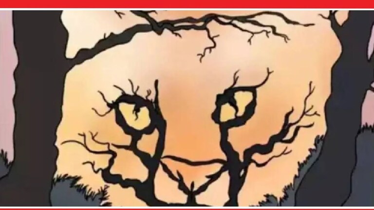 Optical Illusion Personality Test: फोटोत सर्वात आधी काय दिसलं? एकदा क्लिक करुन नीट बघा Optical Illusion Latest Photo