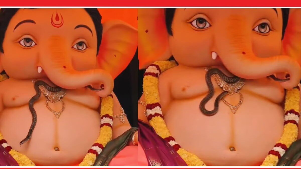 Tirupati Viral Video
