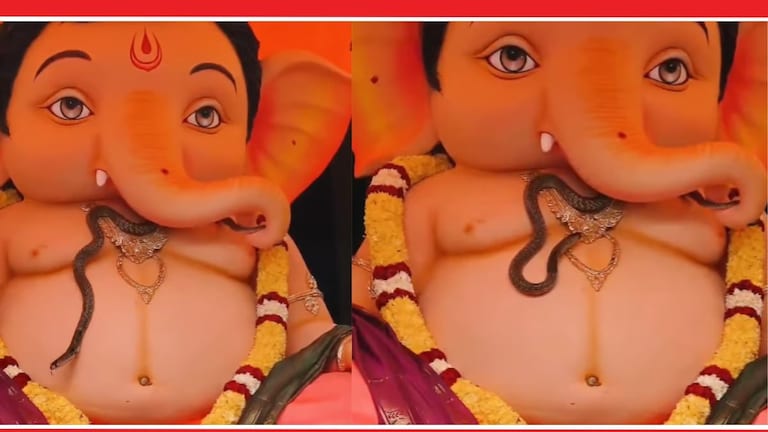 Viral Video: गणपतीच्या सोंडेजवळ अचानक आला जिवंत साप अन् पुढे जे घडलं... Tirupati Viral Video
