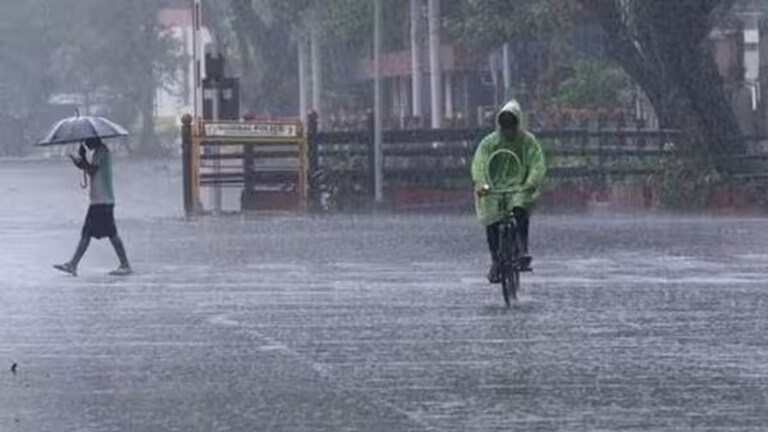 Maharashtra Weather: गणपती विसर्जनानंतर पावसाचा जोर वाढणार? 'या' जिल्ह्यांना IMD चा इशारा Mumbai Tak