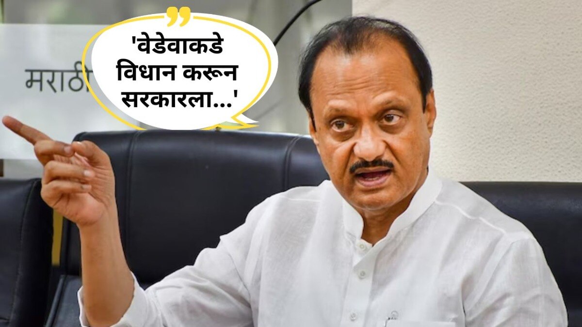 अजित पवारांनी शिंदे, फडवणवीसांच्या नेत्यांचे टोचले कान