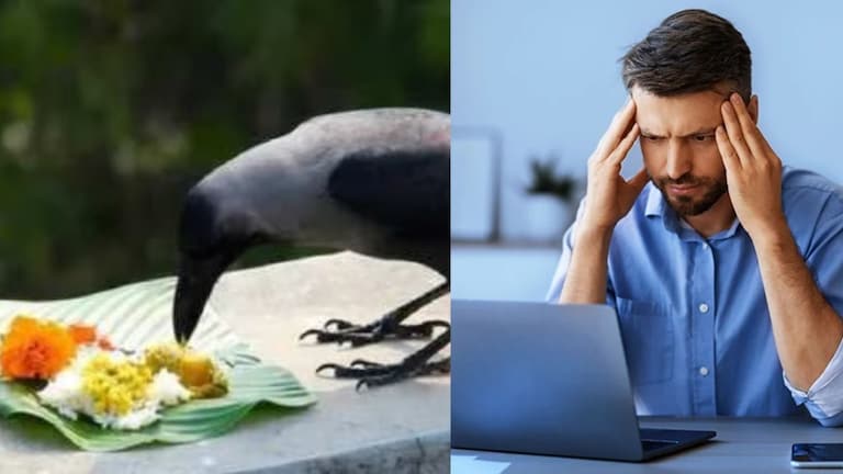 Pitru Paksha 2024 : नोकरी व्यवसायात समस्या, आर्थिक संकटही येणार; 'या' राशींसाठी पितृ पक्ष कसा असणार?  या राशींसाठी पितृ पक्षाचा काळ अडचणीचा