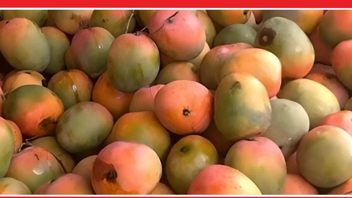 Mango Optical Illusion Photo