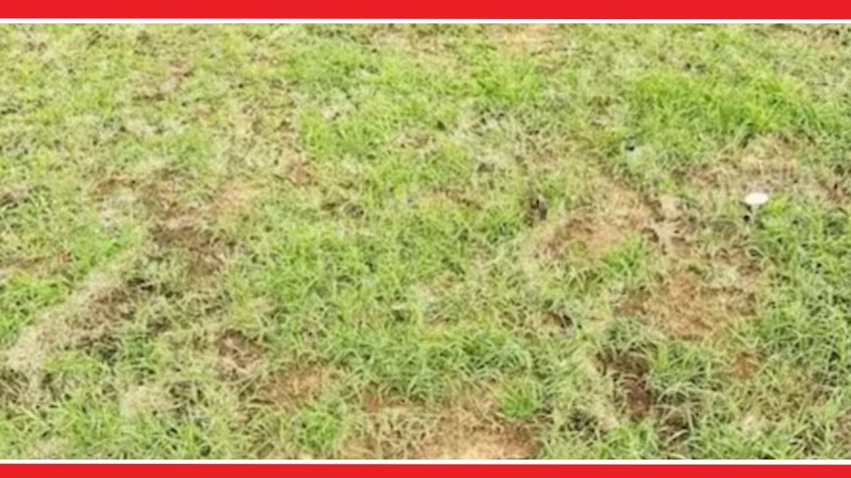 Optical illusion Latest Photo