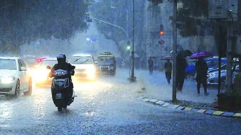 Maharashtra Weather: राज्यात धो-धो सुरूच! 'या' भागांना काढणार झोडपून, IMD अलर्ट Mumbai Tak