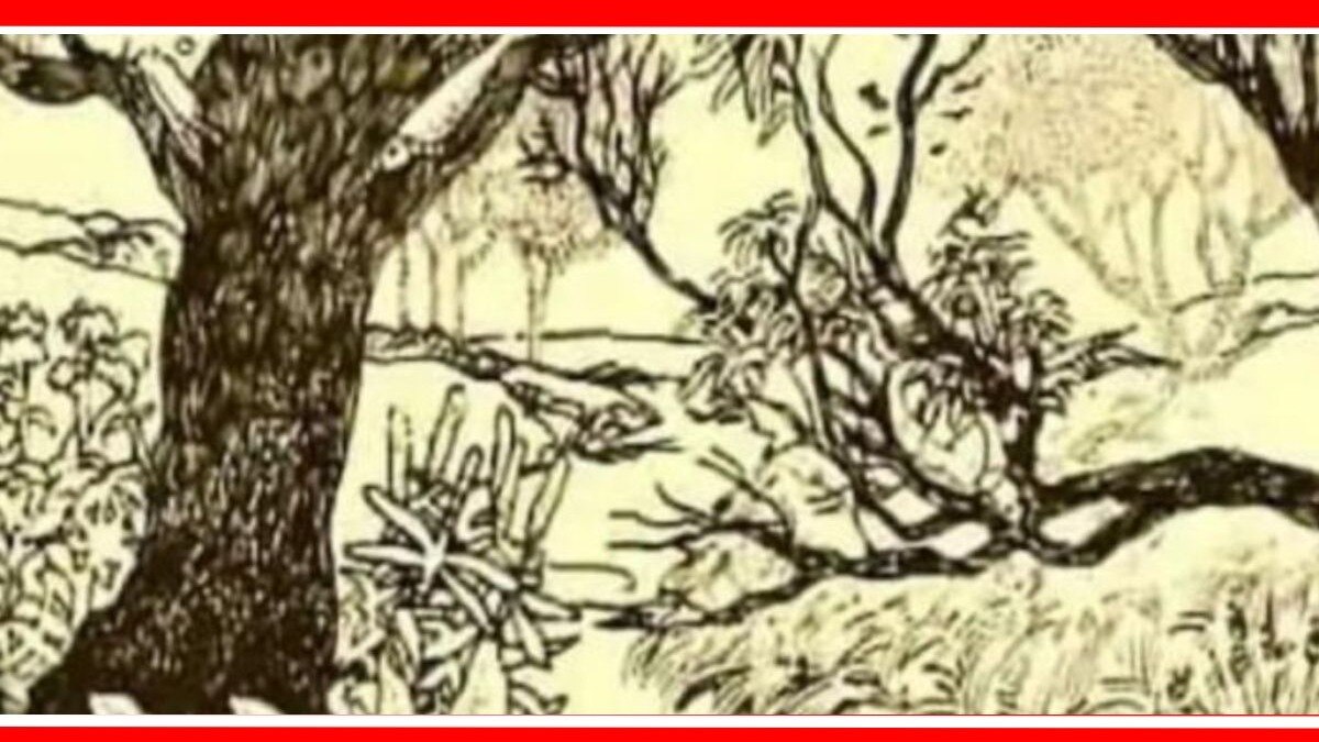 Optical Illusion Girl Photo