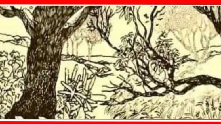 Optical Illusion Photo :जंगलात लपलीय तरुणी! तीक्ष्ण नजर आहे ना? मग शोधून दाखवा 10 सेकंदात Optical Illusion Girl Photo