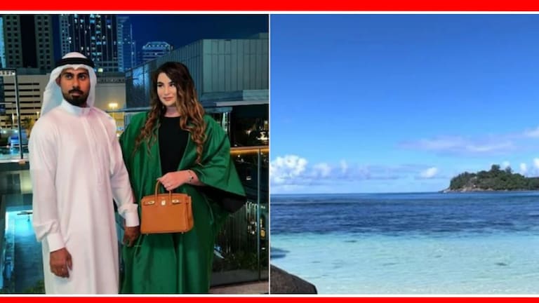 बायकोला बिकिनी घालून बीचवर फिरायचं होतं, नवऱ्यानं घेतला अख्खा आयलंडच... Dubai Millionaire Private Island