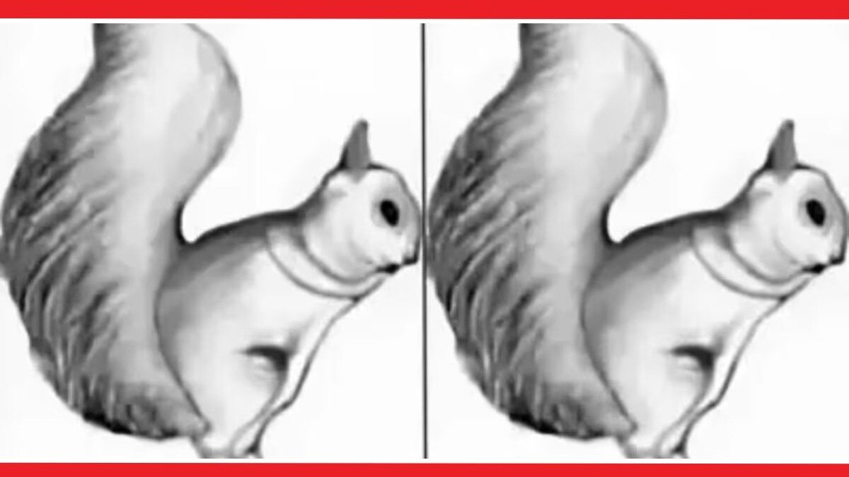 Optical Illusion Viral Photos