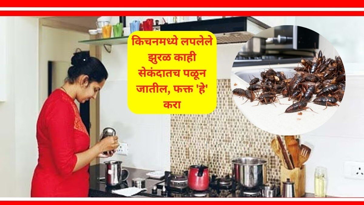 how to kill cockroaches in the kitchen