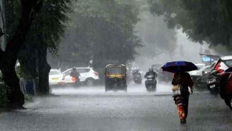 Maharashtra Weather: काहीसा ब्रेक तर, कुठे सुरूच... 'या' जिल्ह्यांमध्ये मुसळधार! पाहा पावसाचे अपडेट Mumbai Tak