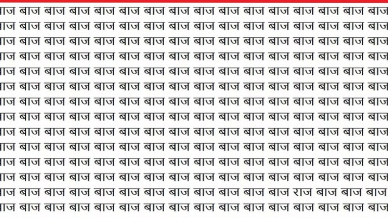 Optical Illusion: सर्वांना 'बाज' दिसतोय? पण फोटोत लपलेला 'राज' शोधून दाखवा, गरुडासारखी नजरच... Optical Illusion Photo