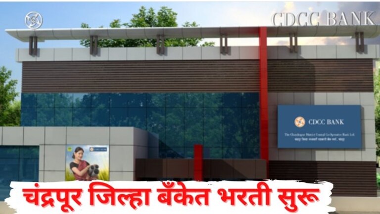 Govt Job: १०वी उत्तीर्णांसाठी गुड न्यूज! चंद्रपूर जिल्हा मध्यवर्ती सहकारी बँकेत नोकरीची संधी Mumbai Tak
