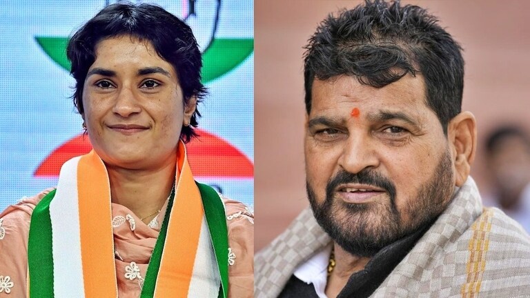 Haryana Election Result: विनेश फोगाटचा मोठा विजय, पण ब्रिजभूषण सिंह 'हे' काय बोलून गेले... ब्रिजभूषण सिंहांची जहरी टीका