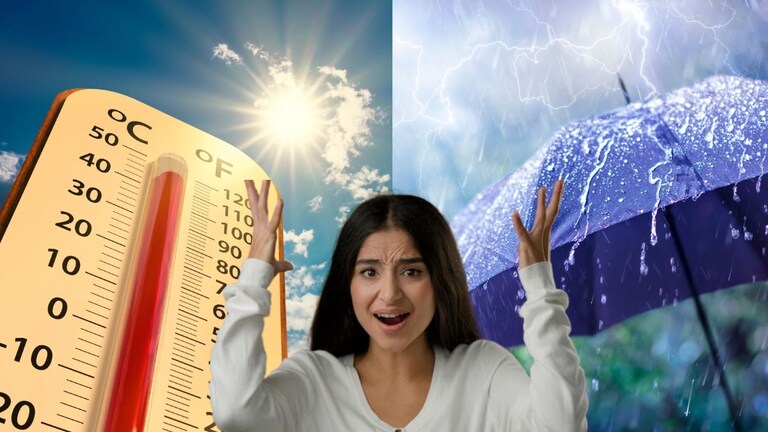 Maharashtra Weather: महाराष्ट्रावर दुहेरी संकट! हवामान विभागाचा 'या' जिल्ह्यांना इशारा Mumbai Tak