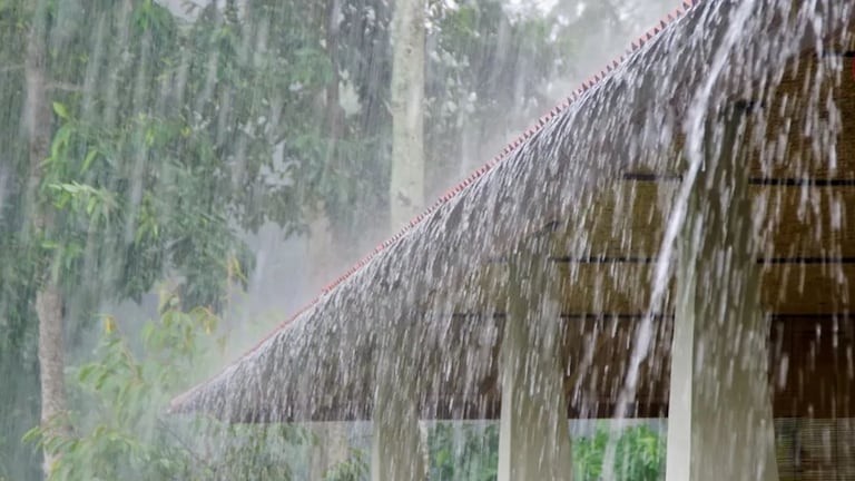 Maharashtra Weather: महाराष्ट्रात दसऱ्याच्या शुभ मुहूर्तावर पावसाचं सावट? पाहा IMD चा अंदाज Mumbai Tak