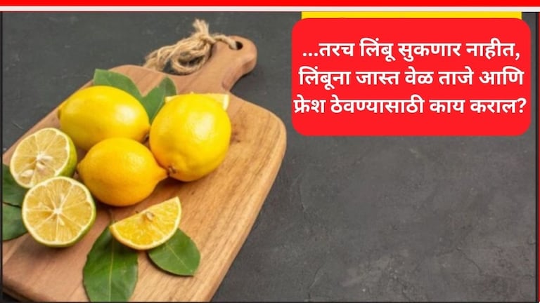 Kitchen Tips : 2 दिवसातच सुकतात लिंबू? 'या' खास टीप्स फॉलो करा, Lemon राहतील ताजे आणि फ्रेश How To Keep Lemon Fresh For Long Time