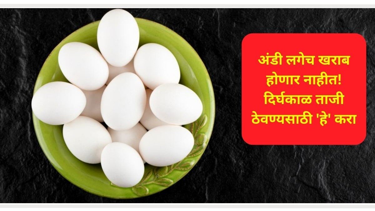 How To Store Eggs