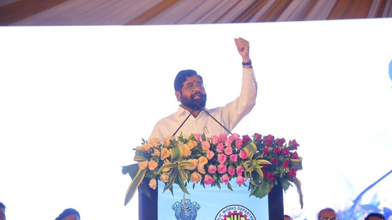 Eknath Shinde: 33 आमदार, 9 नवखे आणि 3 अपक्ष... CM शिंदेंनी एका दगडात किती पक्षी मारले? CM शिंदेंनी एका दगडात किती पक्षी मारले?