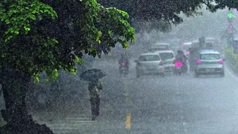 Maharashtra Weather Updates: दिवाळी आली तरी पावसाचं जायचं नाव नाही! आजही 'या' भागांना मुसळधार इशारा Mumbai Tak