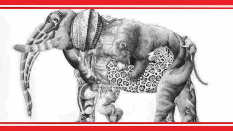 Optical Illusion Test: फोटोत हत्ती दिसतोय? पण तो हत्ती नाही, क्लिक करून नीट बघा Animals Optical Illusion Photo