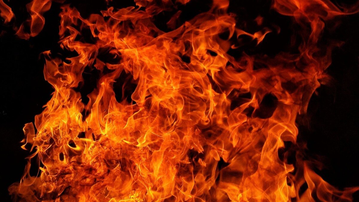 Mumbai Andheri Fire : मुंबईतील अंधेरीत लाकडाच्या गोदामाला मोठी आग, अग्निशमन दलाकडून आग विझवण्याचे प्रयत्न सुरू Mumbai Tak