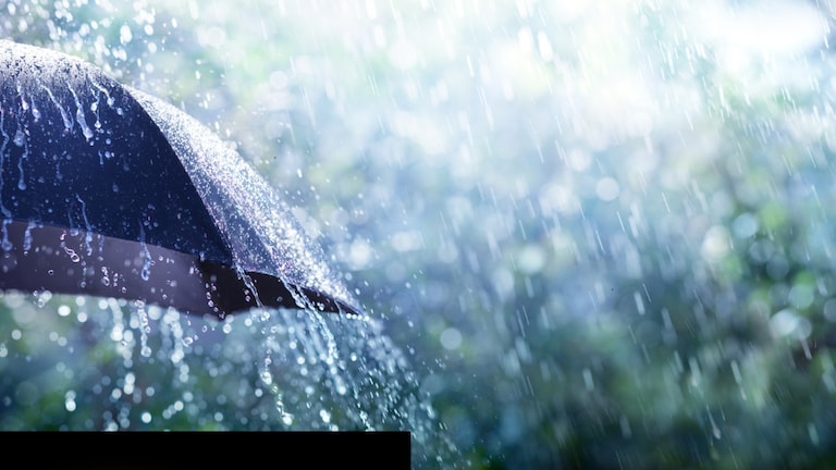 Maharashtra Weather : राज्यातील 'या' जिल्ह्यांमध्ये आज विजांच्या कडकडाटासह पाऊस होण्याची शक्यता Mumbai Tak