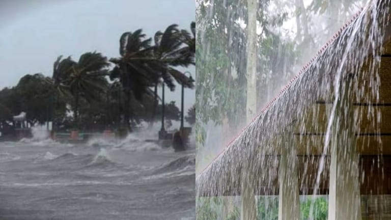 Maharashtra Weather : भाऊबीजेच्या दिवशी वादळी संकट? आज 'या' भागांना IMD चा हायअलर्ट Mumbai Tak