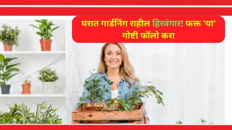 Home Gardening Tips: घरात गार्डनिंग करताय? 'या' गोष्टी लक्षातच ठेवा; झाडं कायम राहतील हिरवीगार Home Gardening Tips