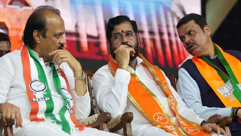 Maharashtra Assembly Election 2024: महायुतीच्या 288 उमेदवारांची संपूर्ण यादी Mumbai Tak