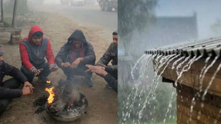 Maharashtra Weather Update : धुरकट वातावरण, थंडीची लाट! 'या' जिल्ह्यांना तर पावसाचा इशारा? Mumbai Tak