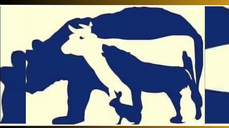 Optical Illusion Test: 'या' फोटोत किती प्राणी लपलेत? दिमाग असणारेच सांगू शकतात Animals Optical Illusion IQ Test