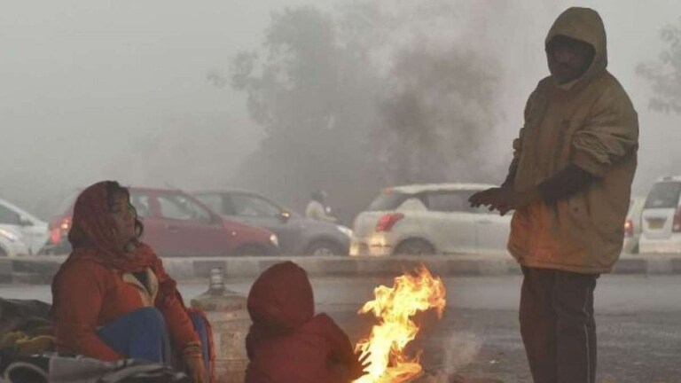 Maharashtra Weather : थंडीचा महिना, धुक्याची चादर अन् पावसाचं संकट! हवामानाचा अंदाज काय? Mumbai Tak