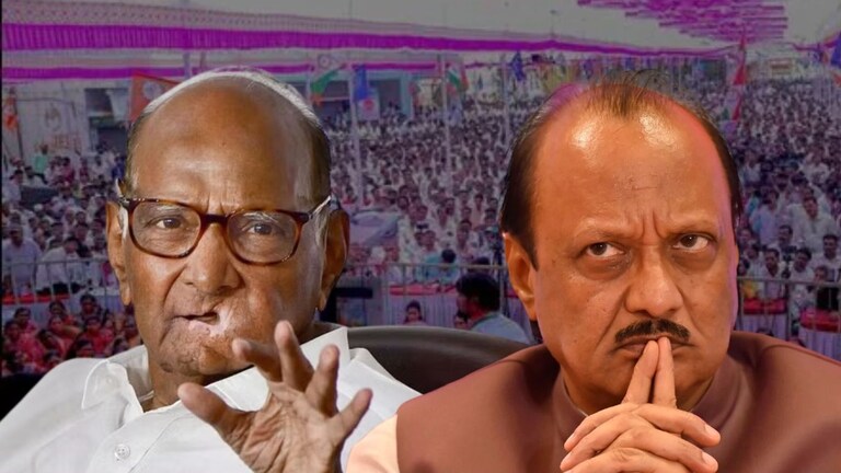 Baramati Vidhan Sabha : भाषणाचे अर्थ, बुथवरचा राडा, मतदानाचा टक्का वाढला..'या' गणितामुळे अजितदादांना फायदा? Mumbai Tak