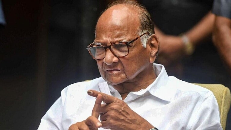 Sharad Pawar: 'निकालानंतर एखादा घरी बसला असता, पण मी काही...', शरद पवारांचं मोठं विधान Mumbai Tak