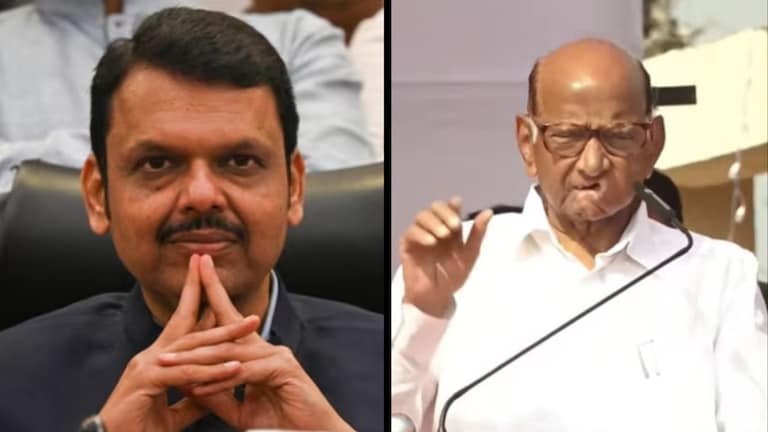 Sharad Pawar : "CM फडणवीसांनी मारकडवाडीत यावं आणि..." काय म्हणाले शरद पवार? Mumbai Tak