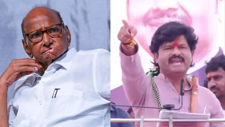 Gopichand Padalkar : "100 शकुनी मेल्यानंतर एक पवार जन्माला...", पडळकर, सदाभाऊ खोत पेटले, एकेरी शब्दात बोलले Mumbai Tak