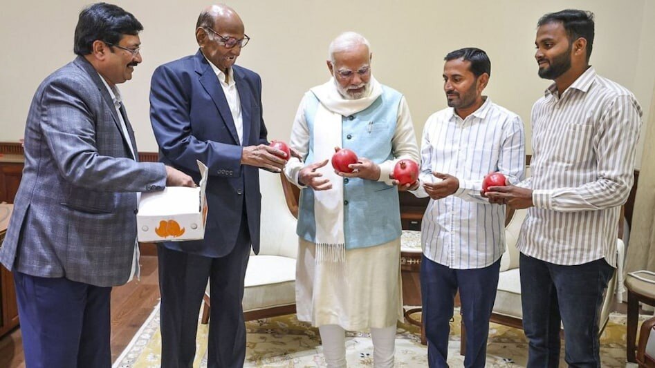 शरद पवार आणि PM मोदींची भेट