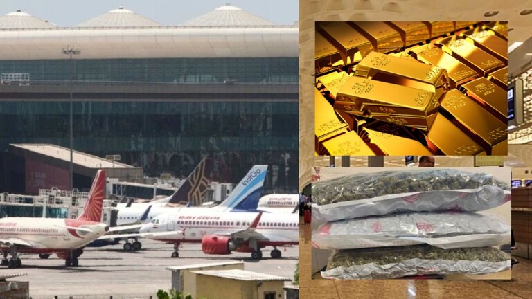 Mumbai Airport : थोडं थोडकं नाही तर तब्बल 11 कोटींचा गांजा, दीड कोटींचं सोनं जप्त, कसं लपवलं होतं ते ऐकून थक्क व्हाल Mumbai Tak