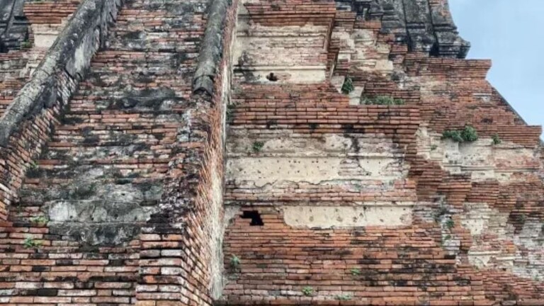 Optical Illusion : मांजर पाळणं सोपं पण शोधणं कठीण! गरुडासारखी नजर असणाऱ्यांनाच दिसेल फोटोत लपलेली मांजर Trending Optical Illusion